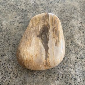 🌲 Western Decor Petrified Wood Crystal Specimen Agatized, NWOT